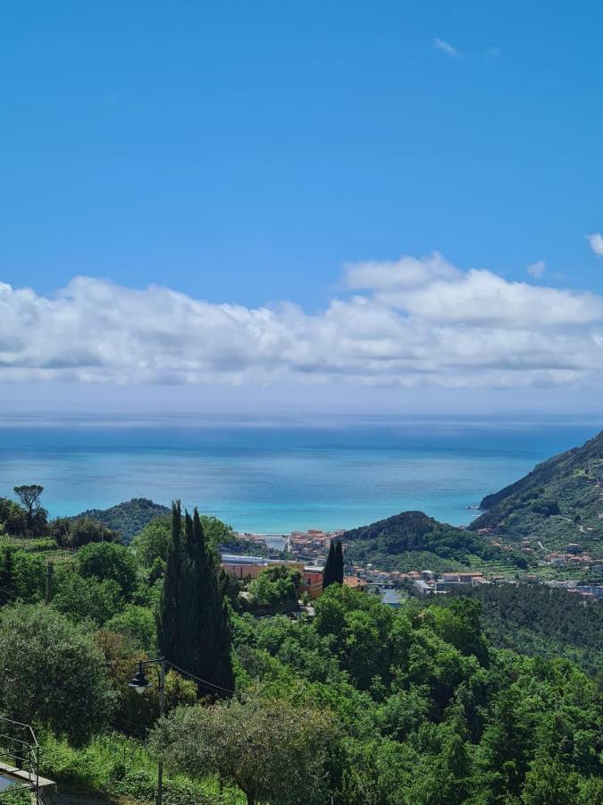 La Casetta Del Casale In Vigna, Cinqueterrecoast 卡萨察利古勒 外观 照片